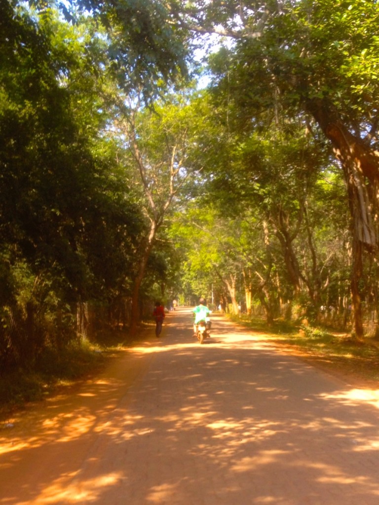 takato je vacsina Auroville - prasne cesty a stromy
